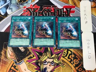 Monster Gate EE2 1 Normal, set of 3 Tera.