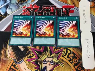 炎熱伝導場 SLT1 4 ノーマル 3枚セット てら