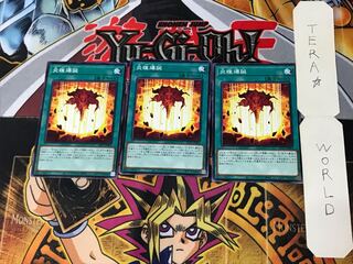 Birth of the Prominence Flame LIOV 5 Normal Set of 3 Tera