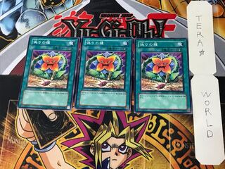 Seed of Deception CSOC 1 Normal, set of 3 Tera.