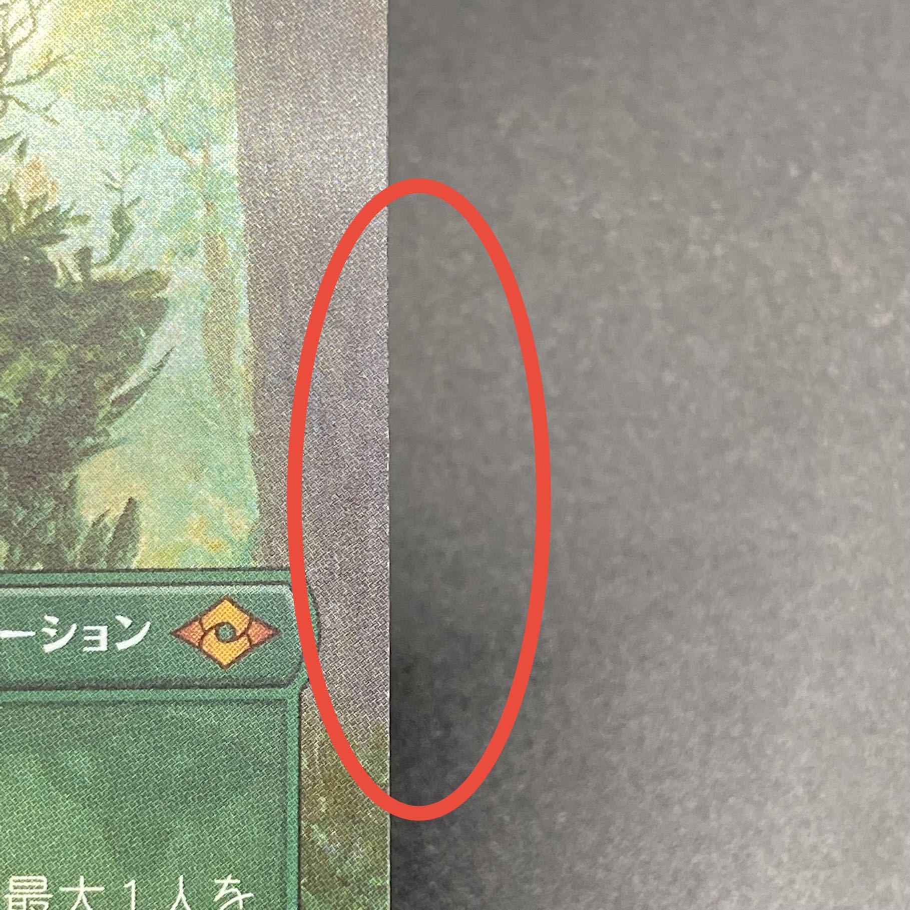 Endurance JP F Borderless MH2