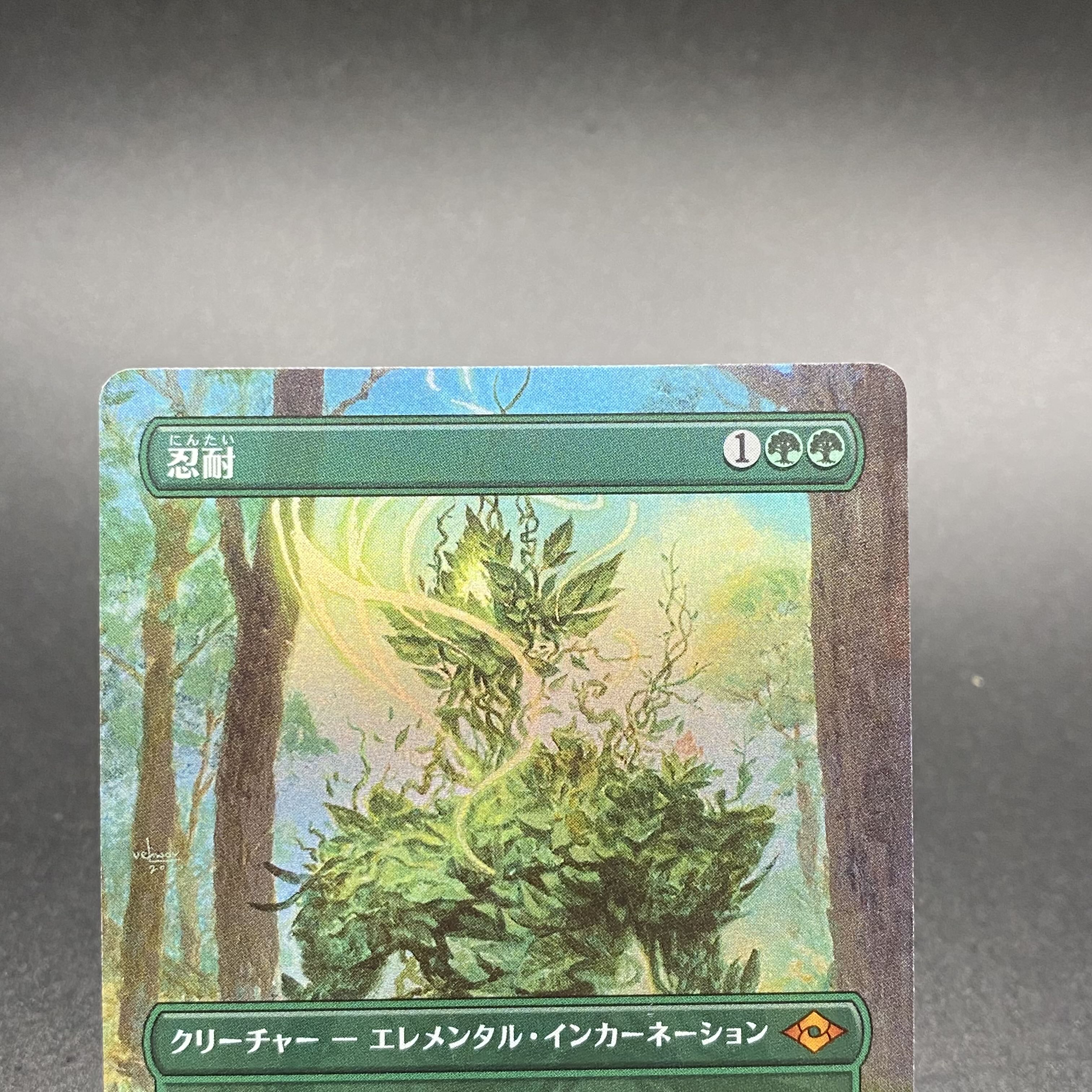 Endurance JP F Borderless MH2