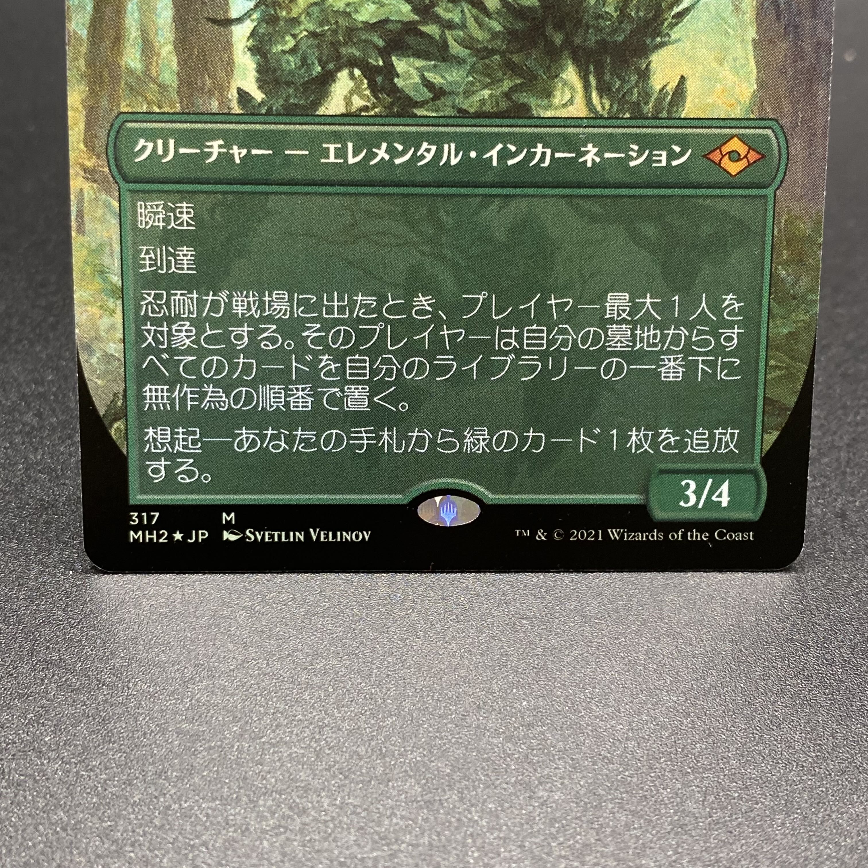 Endurance JP F Borderless MH2