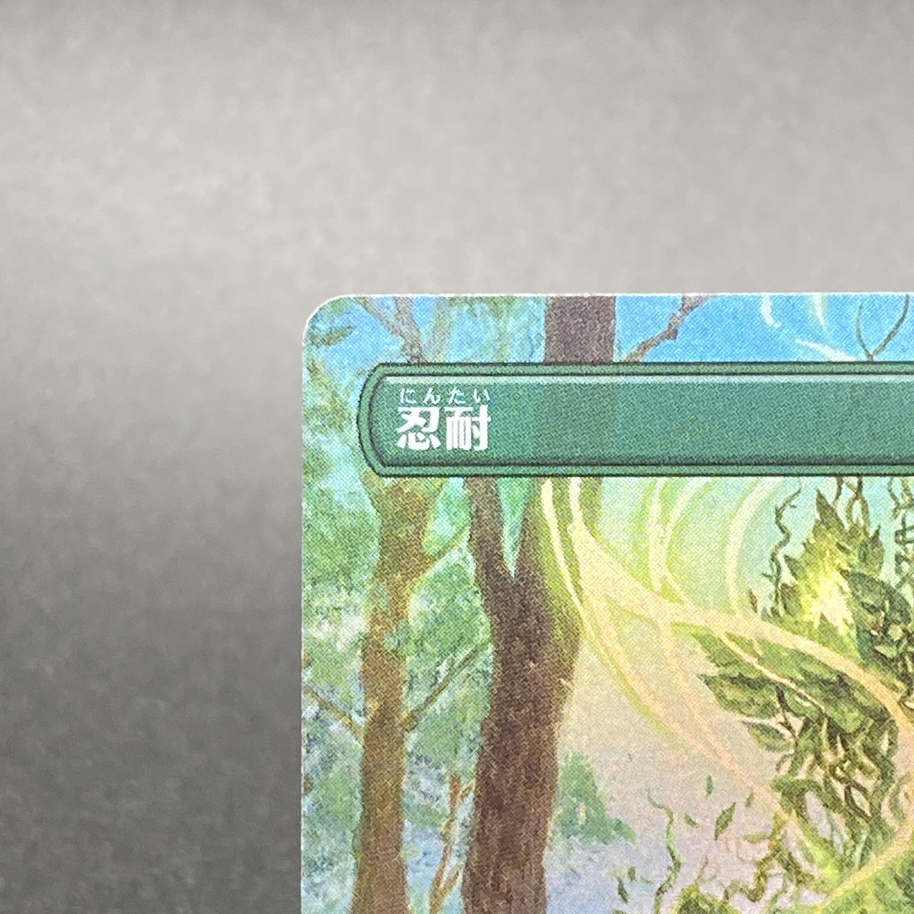 Endurance JP F Borderless MH2