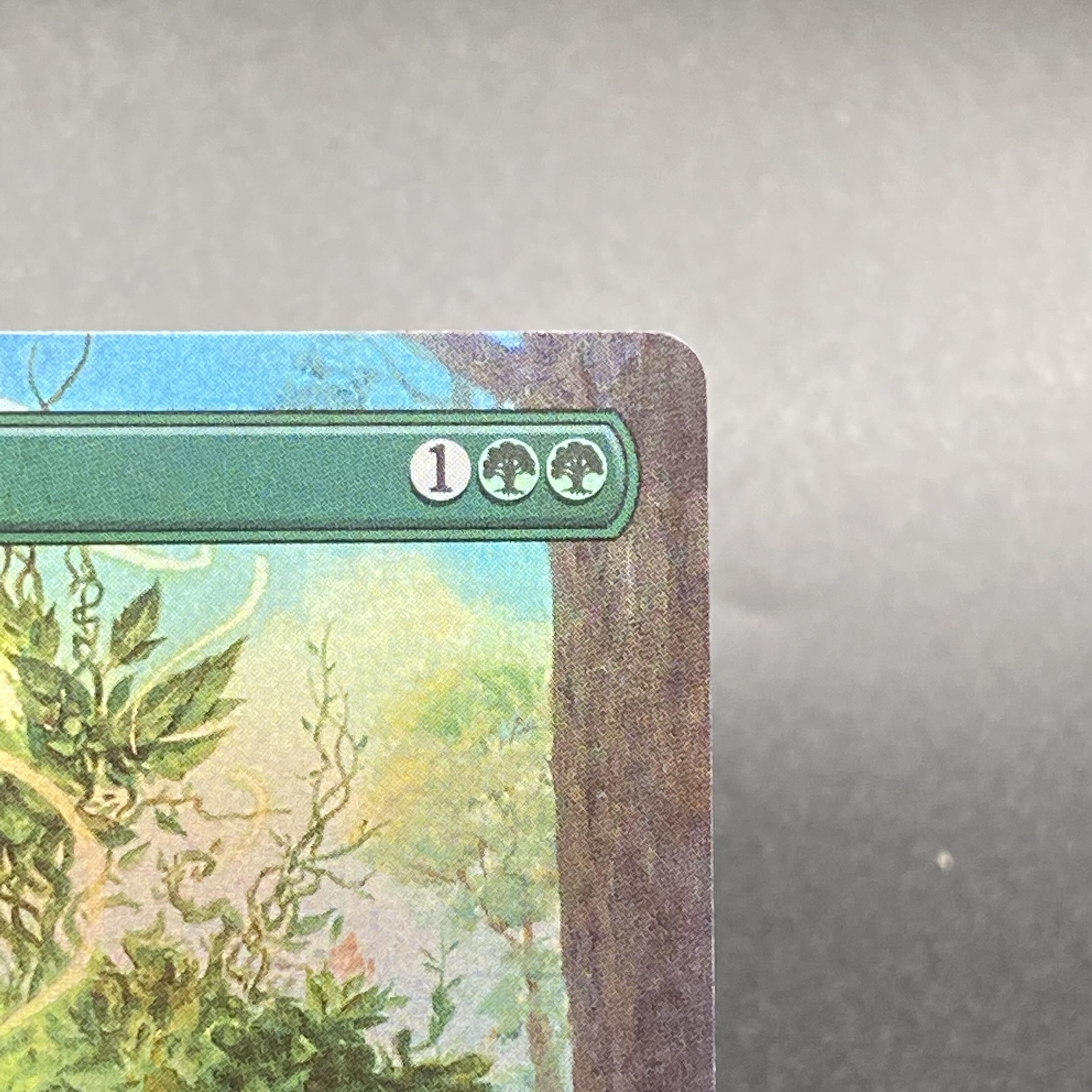 Endurance JP F Borderless MH2