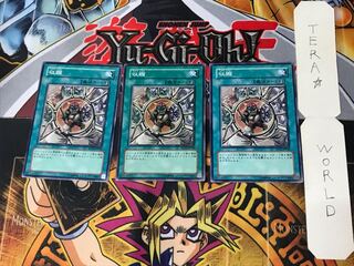 Shrink SD14 2 Normal, set of 3 Tera.