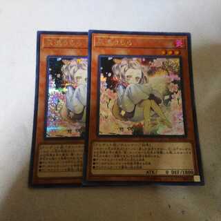 灰流うらら シク シークレット 2枚