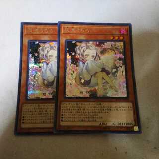 灰流うらら シク シークレット 2枚