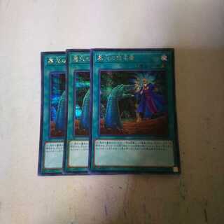 墓穴の指名者 シク シークレット 3枚