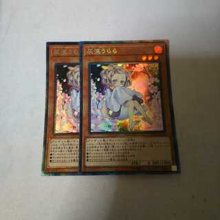 灰流うらら コレクター 2枚