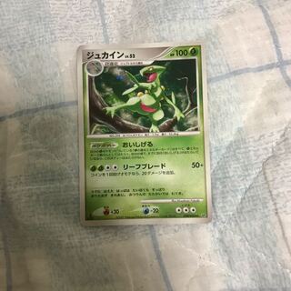 Pokémon Card Sceptile