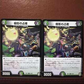 Din091セット割引　樹掘の占者 C 94/95　樹彫の占者