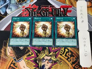 The True Name DP24 1 Normal, set of 3 Tera.