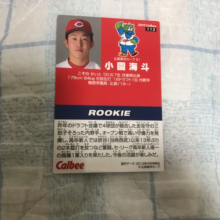 Professional Baseball Chips Umi To Koen