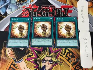 The True Name DP24 2 Normal, set of 3 Tera.