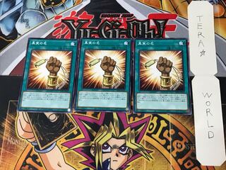 The True Name DP24 3 Normal, set of 3 Tera