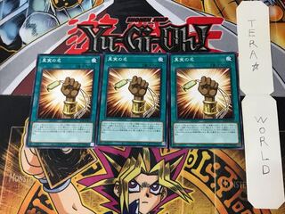 The True Name DP24 5 Normal, set of 3 Tera