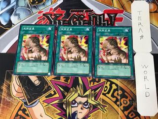 Metamorphosis 301 2 Normal, set of 3 Tera.