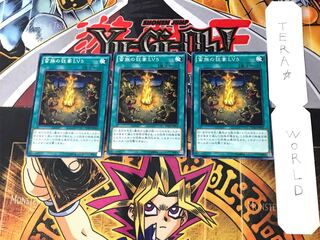 Barbarian Madness LV5 DUEA 1 Normal Set of 3 Terra