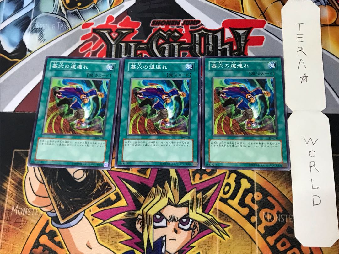 Dragged Down into the Grave 305 4 Normal, set of 3 Tera.