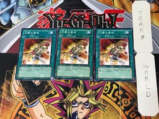 Heart of the Underdog 306 2 Normal, set of 3 Tera