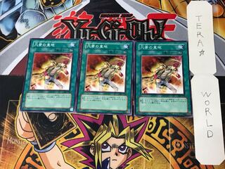 Heart of the Underdog 306 3 Normal, set of 3 Tera