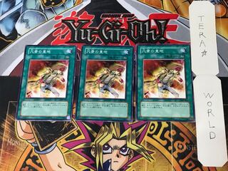 Heart of the Underdog 306 4 Normal, set of 3 Tera