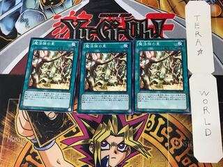 Secret Village of the Spellcasters DE03 1 Normal, set of 3 Tera