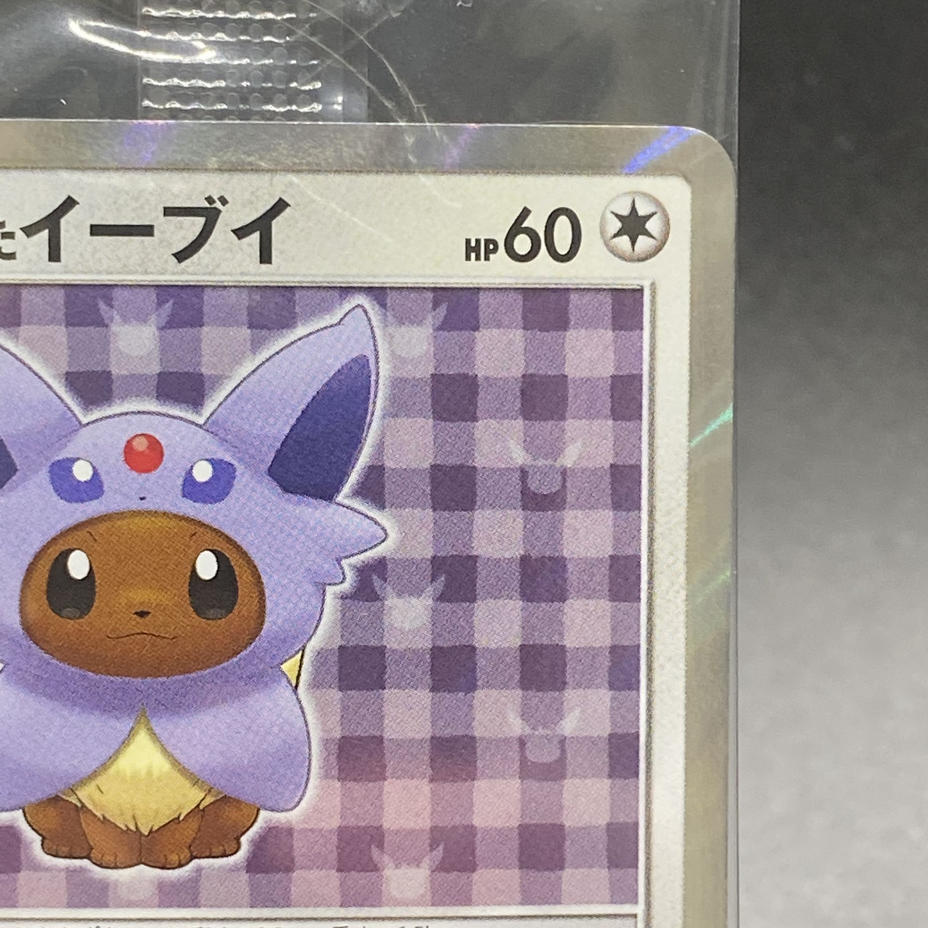 Eevee PROMO 140/SM-P in poncho