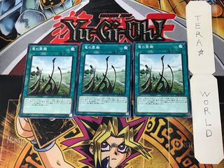 Dragon Shrine DP20 2 Normal, set of 3 Tera.