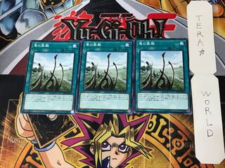 Dragon Shrine DP20 4 Normal, set of 3 Tera.