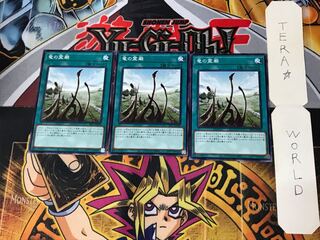 Dragon Shrine SR11 1 Normal, set of 3 Tera.