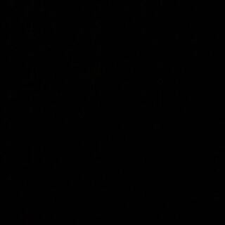 アッキー様専用