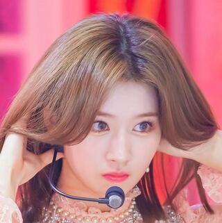 デュエマスリーブ募集(ポケモン)