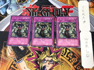 Bad Reaction to Simochi DL5 3 Normal Set of 3 Tera