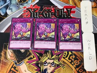 Setuppercut RIRA 2 Normal, set of 3 Tera