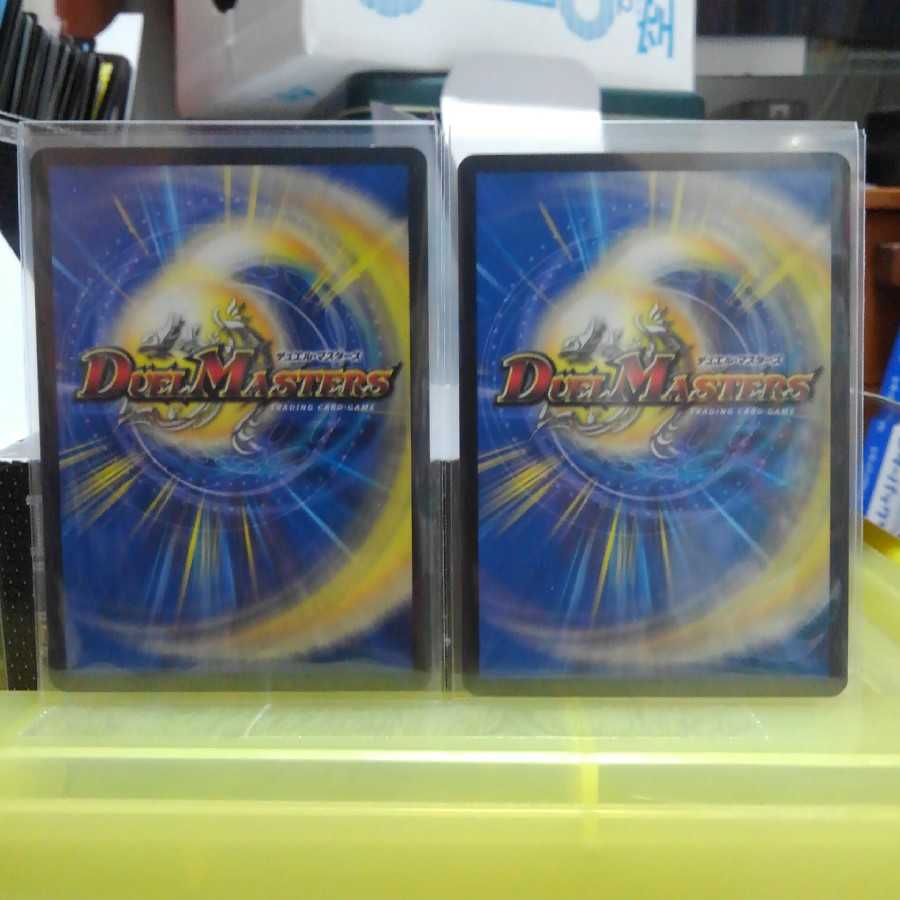 gatomaさん専用 1枚