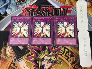 ソーラーレイ 308 2 ノーマル 3枚セット てら