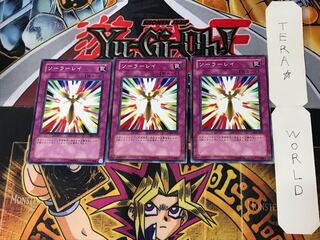 ソーラーレイ 308 3 ノーマル 3枚セット てら