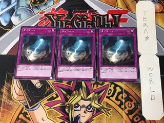 Typhoon SD31 2 Normal, set of 3 Tera.