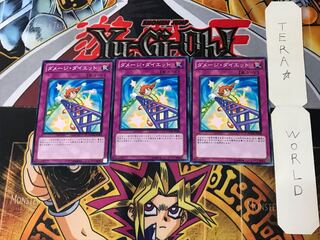 Damage Diet PHSW 2 Normal, set of 3 Tera