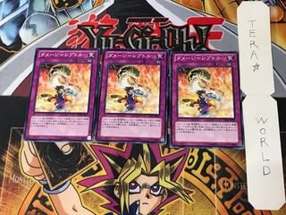 ダメージ=レプトル DE02 3 ノーマル 3枚セット てら