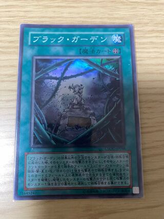 ブラック・ガーデン ピケルの魔法陣　とろっこ様