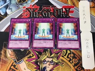 Truth Rin Riryoku DE04 4 Normal, set of 3 Tera.