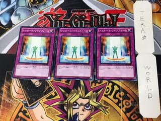 Truth Rin Riryoku YSD6 1 Normal, set of 3 Tera.