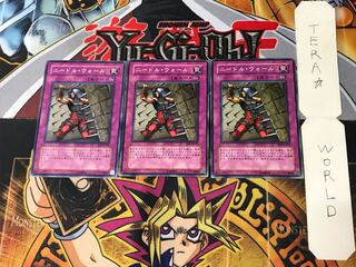 Needle Wall BE2 1 Normal, set of 3 Tera.