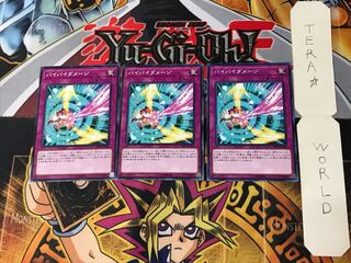 Bye Bye Damage 19PP 2 Normal, set of 3 Tera