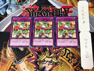 ポリノシス DE03 3 ノーマル 3枚セット てら