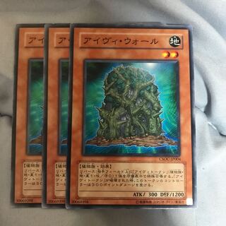 マドレース アイヴィ・ウォール