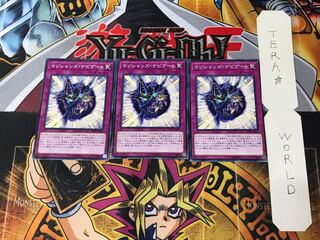 Magician Navigation DP23 1 Normal, set of 3 Tera.